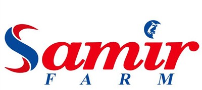 Partner 2